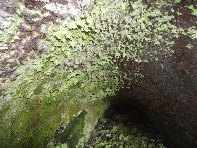 Grotta_tre_livelli - 20100321 028.jpg